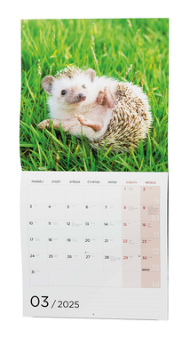 Nástěnný kalendář - Zvířátka