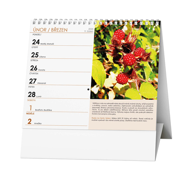 Stolní kalendář - IDEÁL - Zahrádkářský kalendář