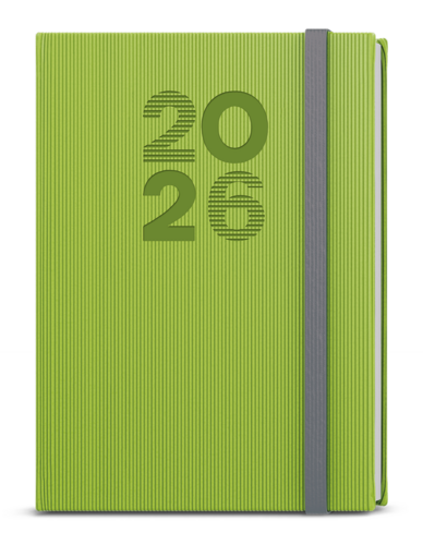 Denní diář - David - Vigo - A5 - zelená