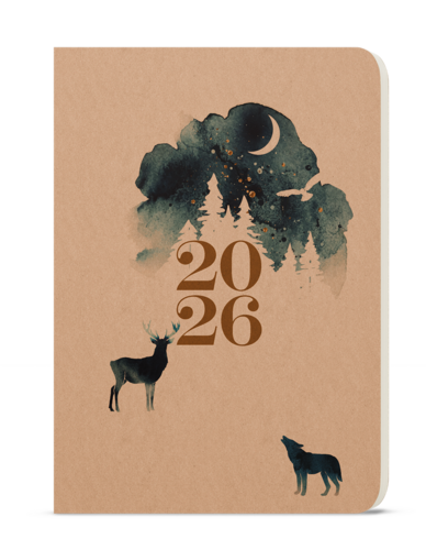 Denní diář - David - Kraft - Čarovný