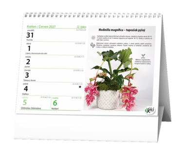 Stolní kalendář - Pokojové květiny