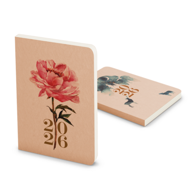 Denní diář - David - Kraft - Čarovný