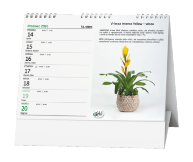 Stolní kalendář - Pokojové květiny