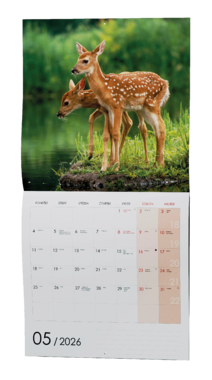 Nástěnný kalendář - Zvířátka