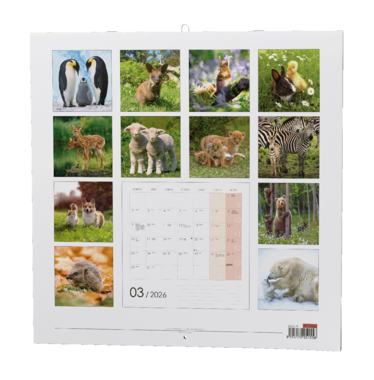 Nástěnný kalendář - Zvířátka