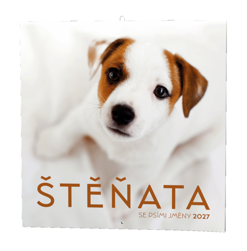 Nástěnný kalendář - Štěňata                    