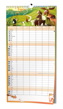 Nástěnný kalendář - Maxi rodinný kalendář