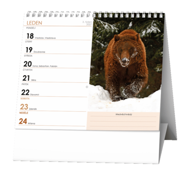 Stolní kalendář - IDEÁL - Zvířátka celého světa