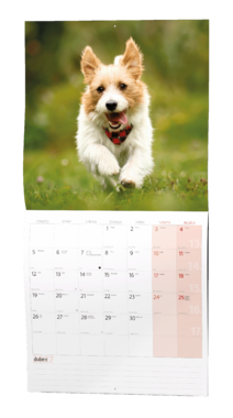 Nástěnný kalendář - Štěňata                    