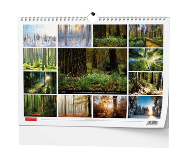 Nástěnný kalendář - Les