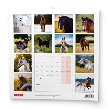 Nástěnný kalendář - Koně                                