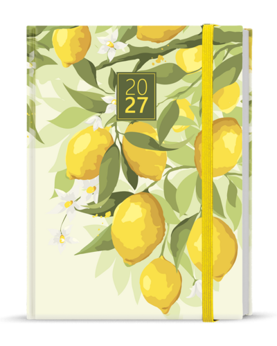 Denní diář - Adam - Lamino - B6 - Citron