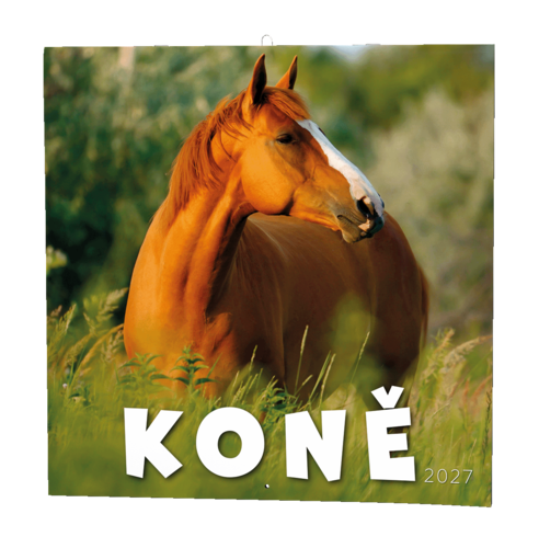 Nástěnný kalendář - Koně                                