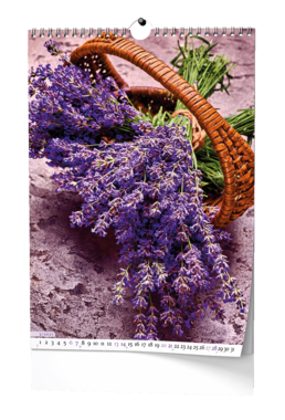 Nástěnný kalendář - Provence - A3                        