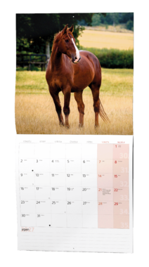 Nástěnný kalendář - Koně                                