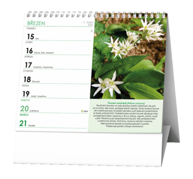 Stolní kalendář - IDEÁL - Léčivé rostliny