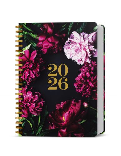 Denní diář - David - Twin - Pivoňky