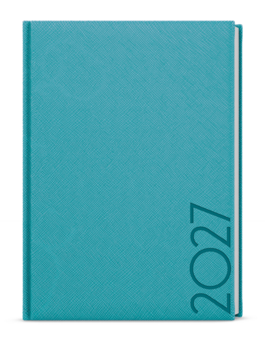 Denní diář - David - Tora - A5 - tyrkys