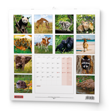 Nástěnný kalendář - Zvířátka