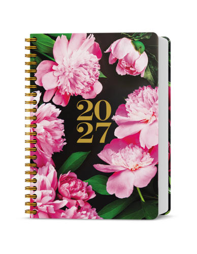 Denní diář - David - Twin - Pivoňky