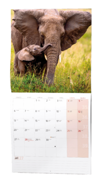 Nástěnný kalendář - Zvířátka
