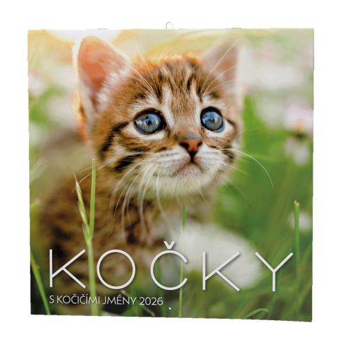 Nástěnný kalendář - Kočky                                          