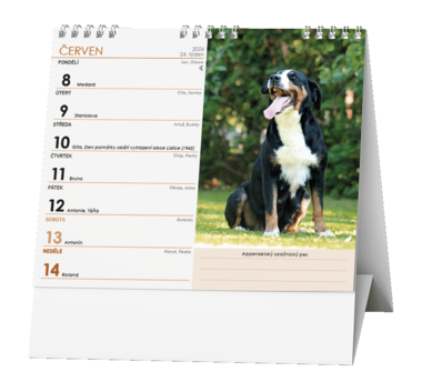 Stolní kalendář - IDEÁL - Pes - věrný přítel /s psími jmény/