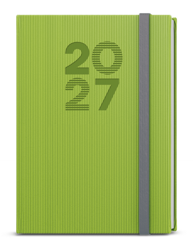 Denní diář - David - Vigo - A5 - zelená
