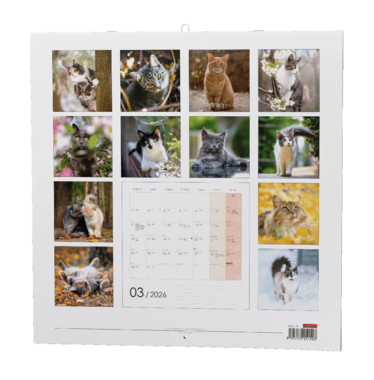 Nástěnný kalendář - Kočky                                          