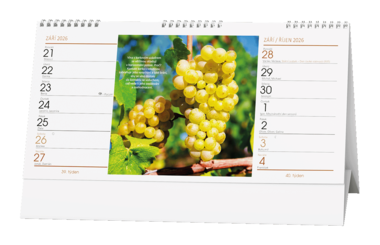 Stolní kalendář - Víno