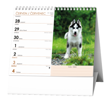 Stolní kalendář - IDEÁL - Pes - věrný přítel /s psími jmény/