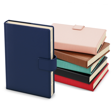 Denní diář - Ctirad s výsekem - Elite - A5 - hnědá 