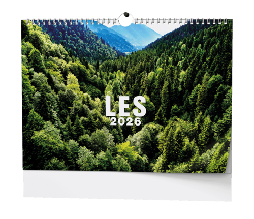 Nástěnný kalendář - Les