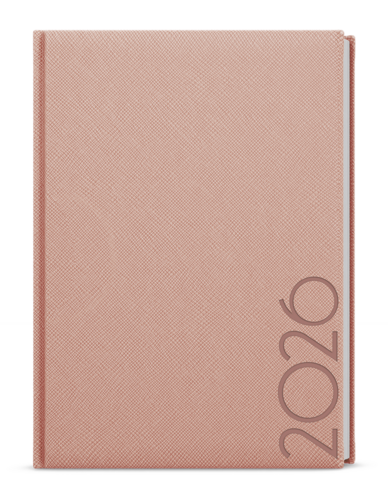 Denní diář - David - Tora - A5 - pudrová