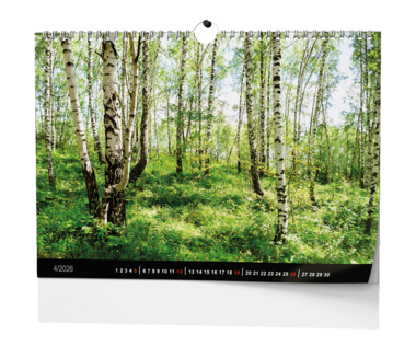 Nástěnný kalendář - Les