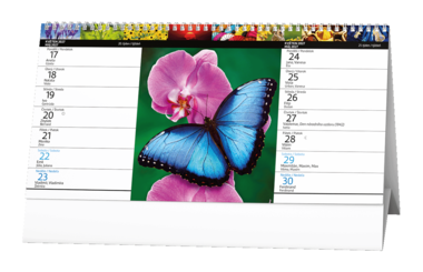 Stolní kalendář - Barevný svět