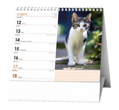 Stolní kalendář - IDEÁL - Kočky /s kočičími jmény/