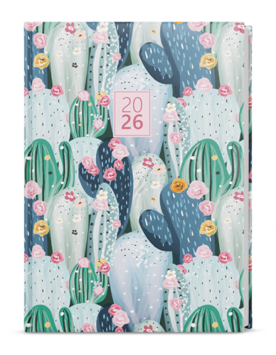 Denní diář - David - Lamino - A5 - Kaktus