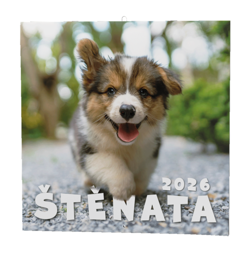 Nástěnný kalendář - Štěňata                    