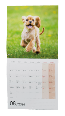 Nástěnný kalendář - Štěňata                    