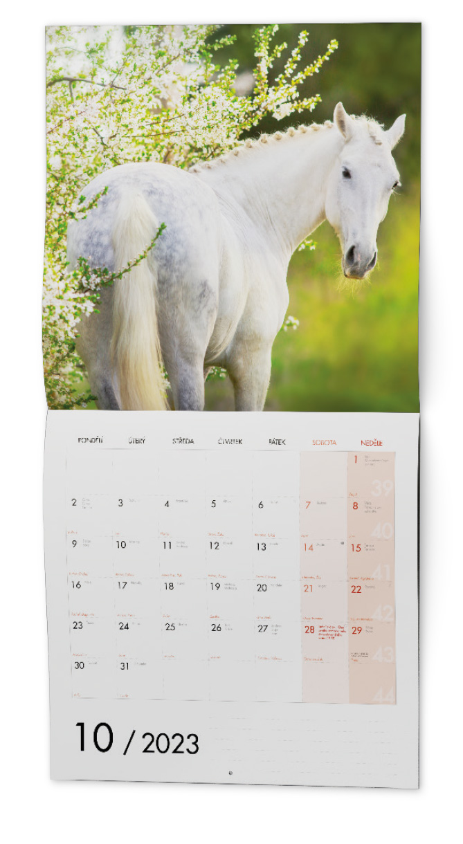 Nástěnný kalendář - Koně