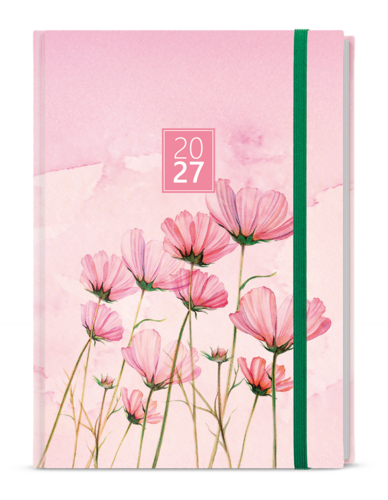 Denní diář - David - Lamino - A5 - Růžový