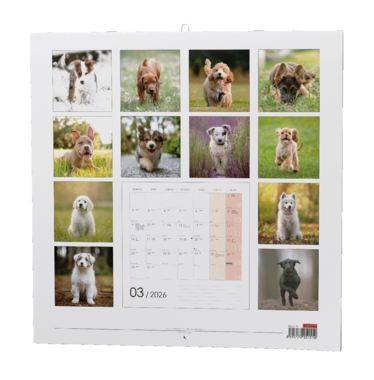 Nástěnný kalendář - Štěňata                    