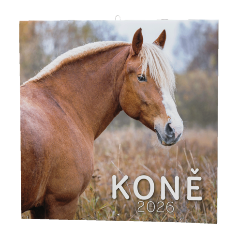 Nástěnný kalendář - Koně                                