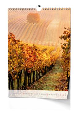 Nástěnný kalendář - Víno - A3                                                        
