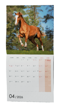 Nástěnný kalendář - Koně                                