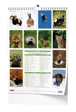 Nástěnný kalendář - Myslivecký kalendář - A3