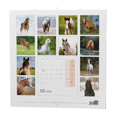 Nástěnný kalendář - Koně                                