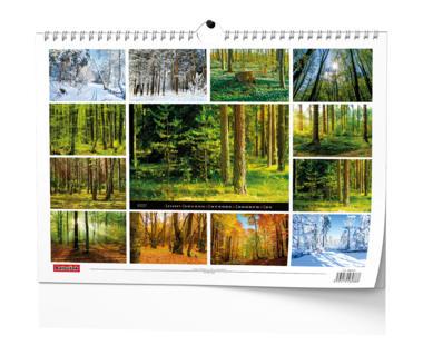 Nástěnný kalendář - Les