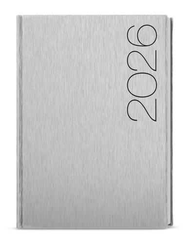 Denní diář - David - ForMen - A5 - Silver